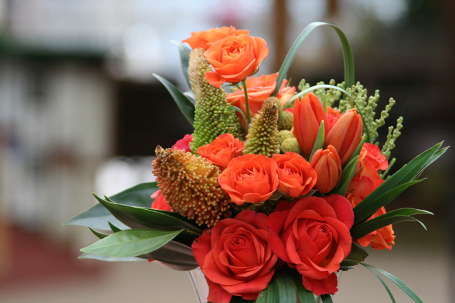 Vibrantly Orange